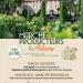 Affiche marche chateau pesquie reduite